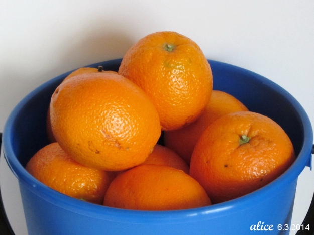 Oranges 2  IMG_5517