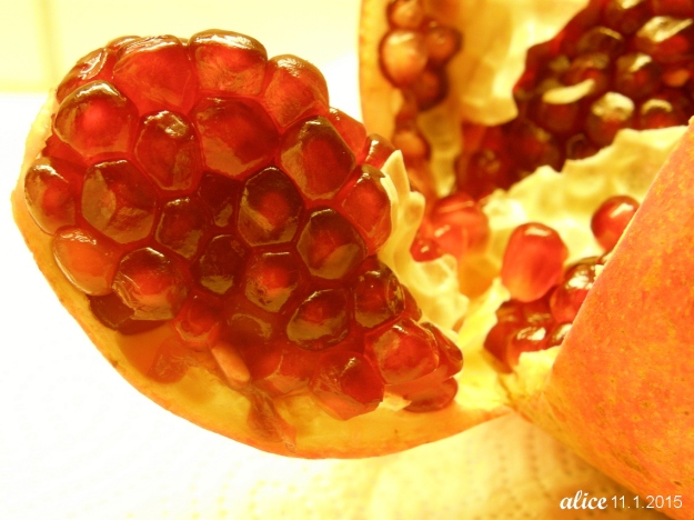 pomegranate seeds OLYMPUS DIGITAL CAMERA