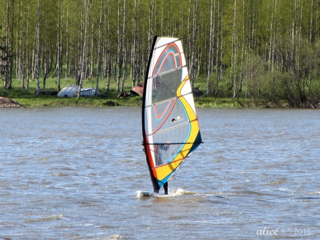  windsurfer IMG_9032C