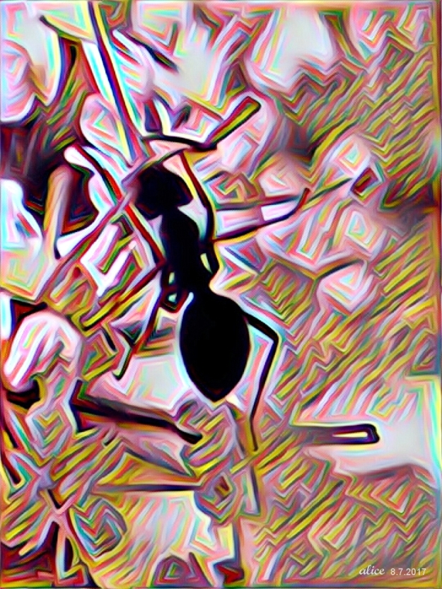 ant on flower turned to photo art using Prisma art app.