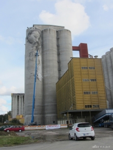 Kantola Event Park / Mural On Silo Wall IMG_3543C